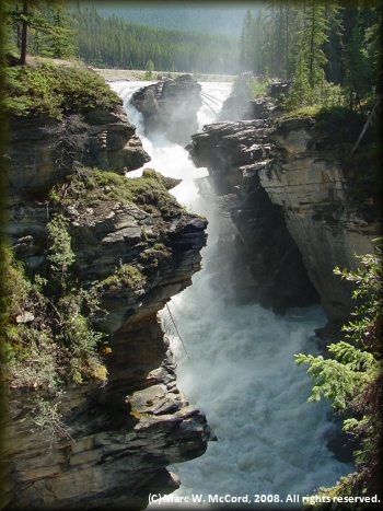 Athabasca Falls on the scenic Athabasca River