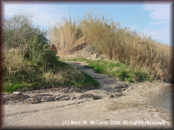 The Solis take-out in Big Bend National Park