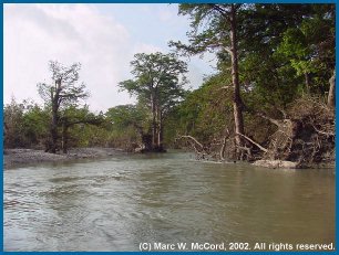 Guadalupe River about 1 mile below Ammans Crossing