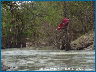 Coleman Canoes and the Upper Guad don't mix well at high water!