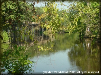 Bayou deView looking upstream below the SH 17 bridge near Brinkley
