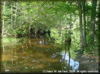 Bayou deView above the SH 38 bridge near Cotton Plant