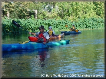Ken Bickle, Debbie Williams and Julie Gilbert on the San Marcos River
