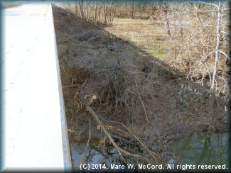 Less than ideal access on river left just below the E. Cheadle Road Bridge