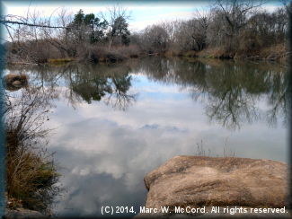 Looking downriver from SH 7 WMA access on river left