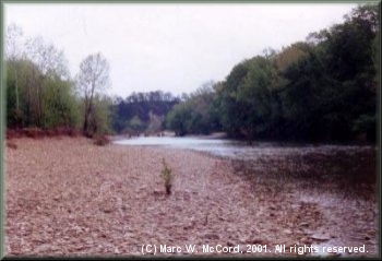 One of many gravel beaches along the river