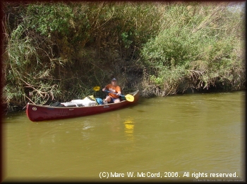 Dirk Davidek clearing cane along river right