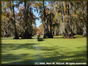 Walter Velez enjoying his first trip to Caddo Lake