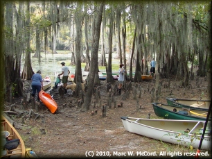 Looking out to the swamp from Goat Island