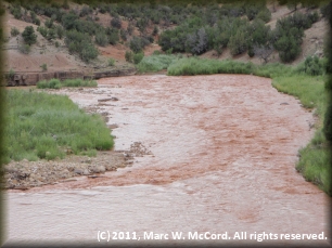 Screaming Left Turn Rapid in moderately high, muddy water