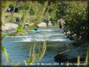 Looking downriver into Cottonseed Rapid