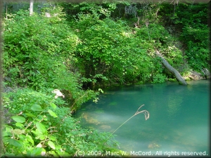 Round Spring