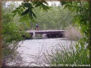 Low-water bridge at Baker's Crossing just below SH 163