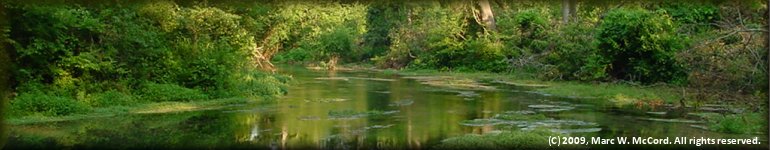 Eleven Point River, Missouri