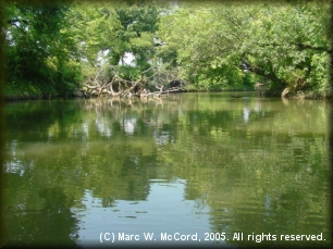 Trinity River above McInnish Park in Carrollton