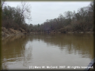 Looking downriver from the FM 1794 bridge
