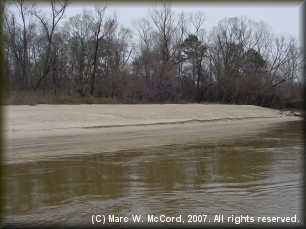 Typical white sand beaches along the Sabine River