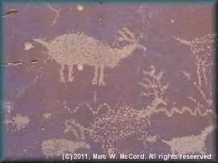 Petroglyphs at Nefertiti campsite