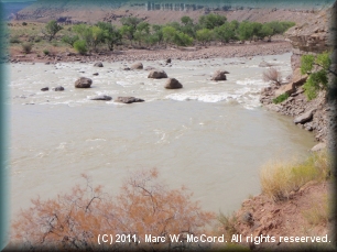 Wire Fence Rapid at the end of Desolation Canyon