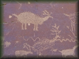 Petroglyphs at Nefertiti