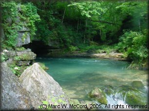 USFS Greer Springs