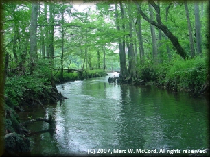 The LMF River divides around an island