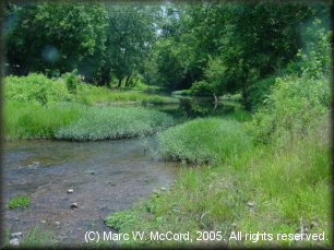 MDC Thomasville Public Access