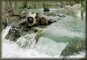 Stewart Falls between Medina and Bandera