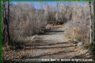 Paonia River Park Access