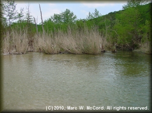 Second Crossing on the North Prong