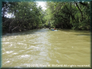 Nolan River below Johnson CR 1106