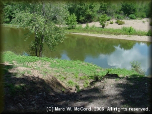 Fulton Branch Access from the campground