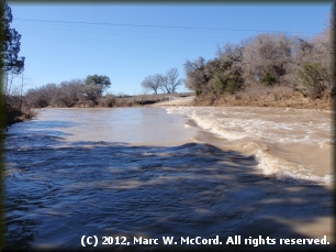 Edward Crossing low-water bridge at 2,600 cfs