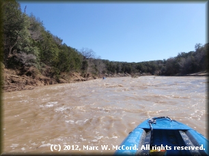 Paluxy River adjacent to Dinosaur Valley State Park at 2,600 cfs