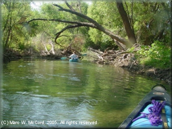 Jungle paddling on the gorgeous Nueces River