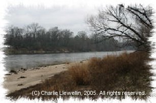 Sabine River in winter