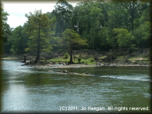 Island in the river