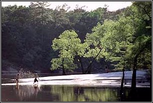 White sandbars and a beautiful stream