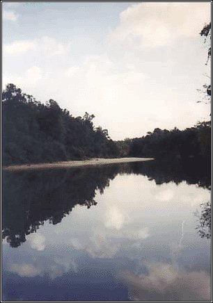 Reflections on Village Creek