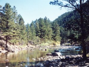 Cache la Poudre River photo courtesy of wallpaperdave.com