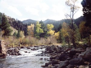 Cache la Poudre River photo courtesy of wallpaperdave.com