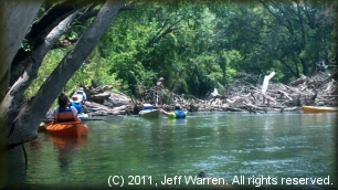 Lower Lampasas River logjam