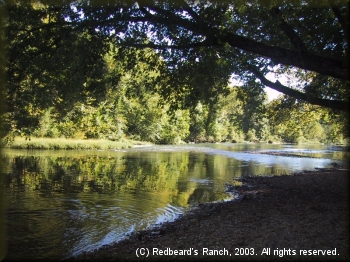 The shady Niangua River in summertime