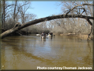 Deadfall on the Neches River